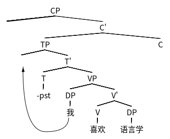 图 3 “我喜欢语言学”的句法树图