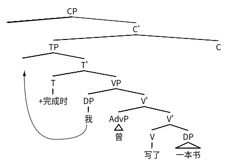 图 4 “我曾写了一本书。”的句法树