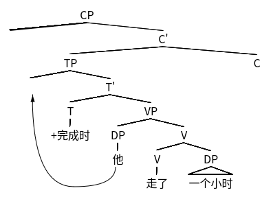 图 6 “他走了一个小时。”的句法树